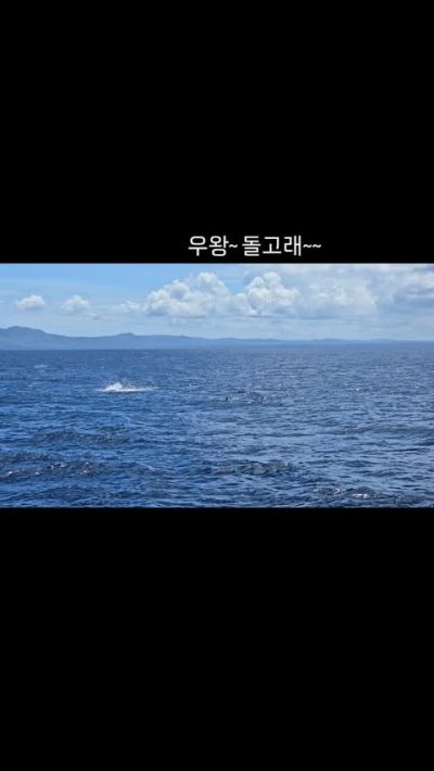 Ocean Holic Divers в июле — фото погоды (2025-07-05)