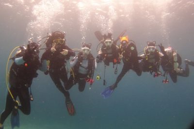 Ocean Holic Divers в июле — фото погоды (2025-07-21)