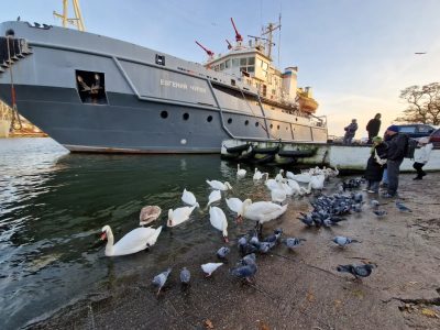 Балтийское Море в ноябре — фото погоды (2025-11-04)