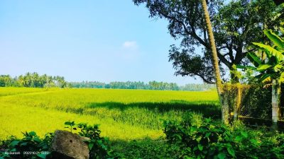 Uduru village machame в октябре — фото погоды (2022-10-21)