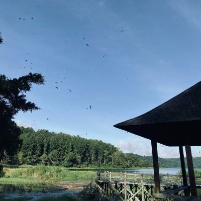 Buyan Lake Camp в марте — фото погоды (2026-03-12)