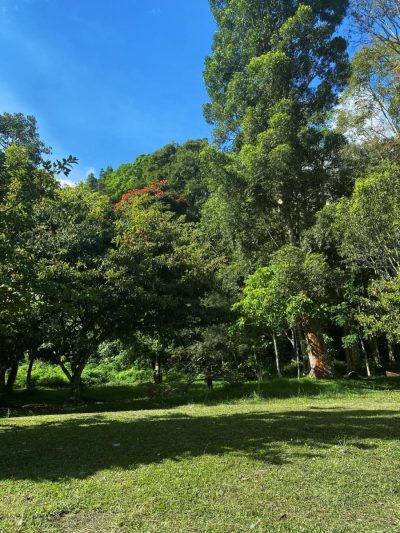 Buyan Lake Camp в апреле — фото погоды (2026-04-29)