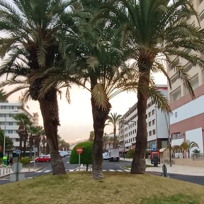 Playa del Camisón в январе — фото погоды (2026-01-28)