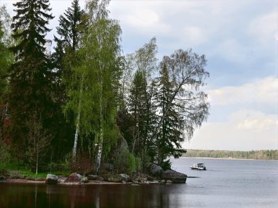 Музей-заповедник "Парк Монрепо" в июне — фото погоды (2026-06-25)