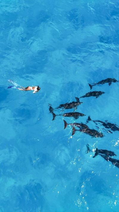 Indian Ocean, Zanzibar в июне — фото погоды (2026-06-13)
