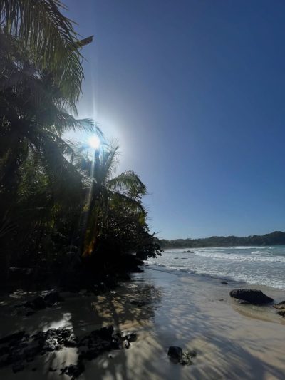 Isla Bastimentos, Bocas Del Toro, Panama в феврале — фото погоды (2026-02-27)