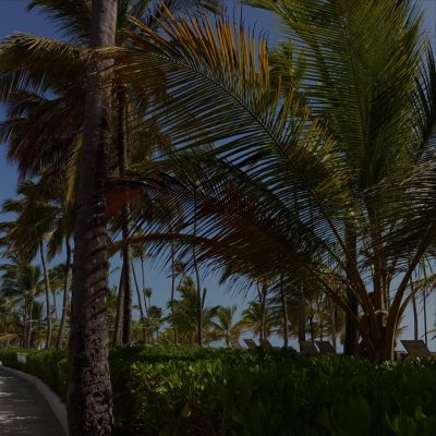 Punta Cana Dominican Republic Beach в июле — фото погоды (2026-07-03)