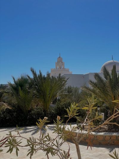 Musée guellala djerba в феврале — фото погоды (2026-02-25)