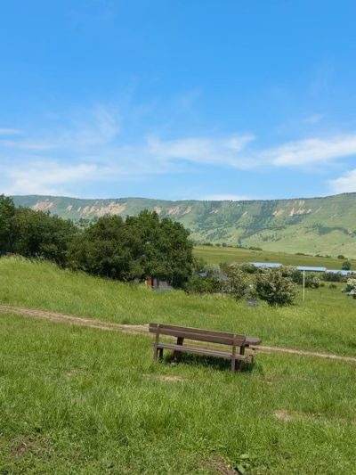 Дубовая роща ДУБКИ Дагестан в мае — фото погоды (2026-05-24)