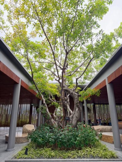 JW Marriott Cam Ranh Bay Resort & Spa — фото погоды в феврале (2026-02-02)