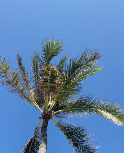 JW Marriott Cam Ranh Bay Resort & Spa — фото погоды в марте (2026-03-25)