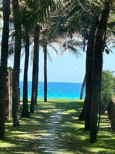 JW Marriott Cam Ranh Bay Resort & Spa — фото погоды в марте (2026-03-26)