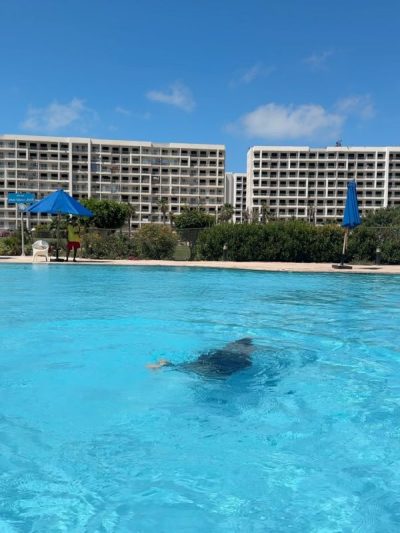 Golf porto marina в июне — фото погоды (2026-06-06)