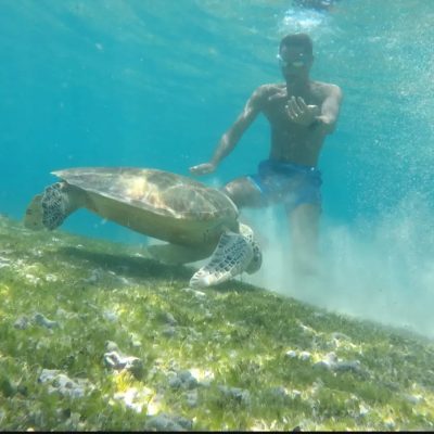 Turtle Point в сентябре — фото погоды (2025-09-01)