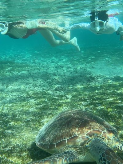Turtle Point в сентябре — фото погоды (2025-09-05)