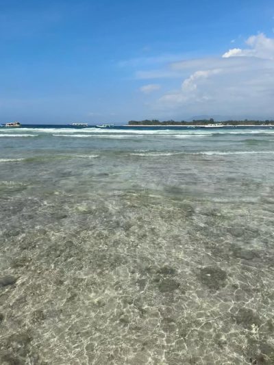 Turtle Point в сентябре — фото погоды (2025-09-23)