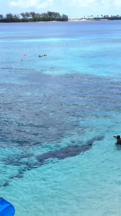 Junkanoo Beach, Nassau, Bahamas в июне — фото погоды (2026-06-27)