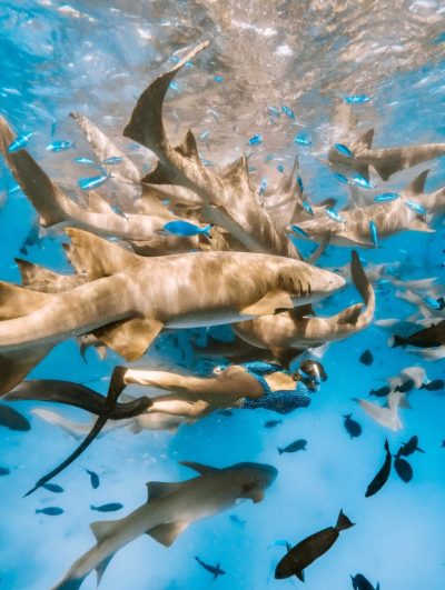 Maafushi Maldives в январе — фото погоды (2026-01-22)