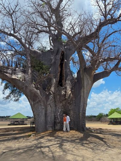 Selous Game Reserve, Tanzania в октябре — фото погоды (2025-10-26)