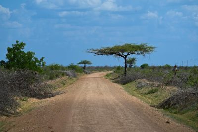 Selous Game Reserve, Tanzania в декабре — фото погоды (2025-12-27)