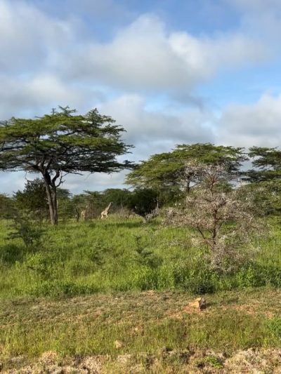 Selous Game Reserve, Tanzania в апреле — фото погоды (2026-04-04)