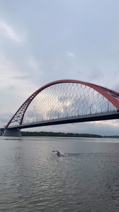 Новосибирская область в августе — фото погоды (2025-08-31)