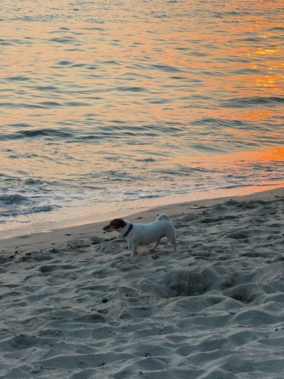 Kho Chang Island, Thailand в июне — фото погоды (2026-06-01)