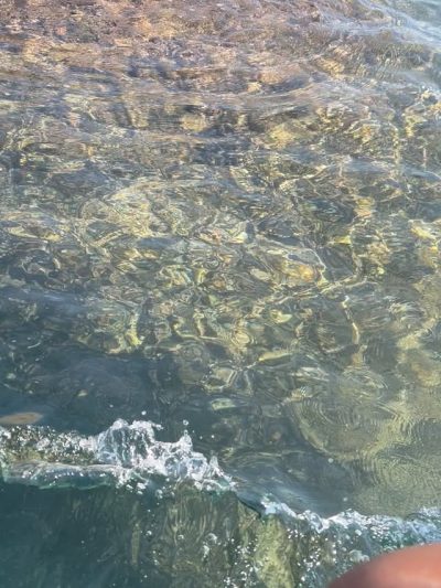 Puerto Marqués, Guerrero в декабре — фото погоды (2025-12-29)