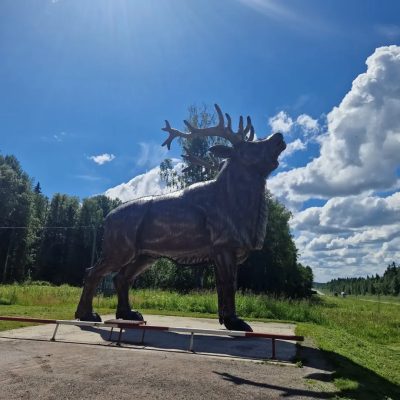 Карельский Зоопарк в июле — фото погоды (2026-07-15)