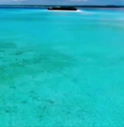 Mnemba Island, Zanzibar, Tanzania в феврале — фото погоды (2026-02-24)