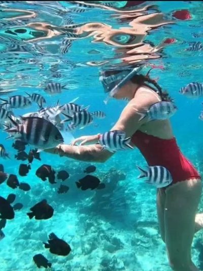 Mnemba Island, Zanzibar, Tanzania в феврале — фото погоды (2026-02-26)