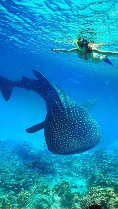 Mnemba Island, Zanzibar, Tanzania в июле — фото погоды (2026-07-05)