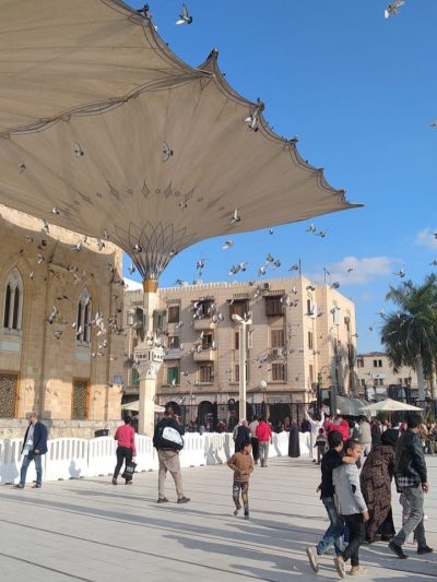Egypt, Africa в феврале — фото погоды (2026-02-12)