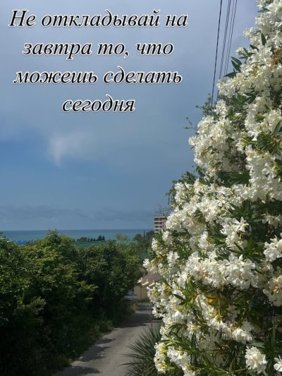 Курортный Городок в июне — фото погоды (2026-06-26)