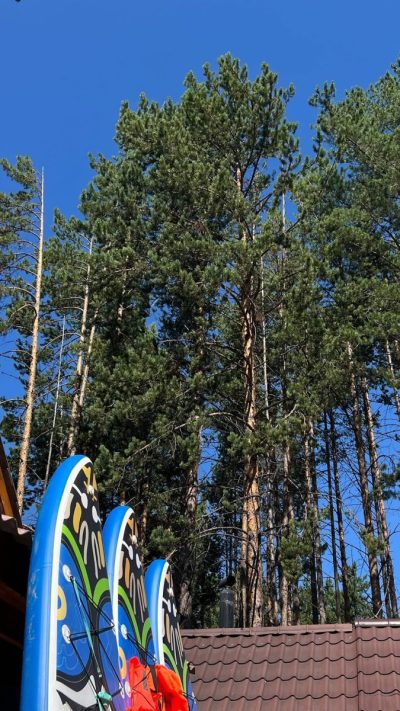 Байкал-Baikal в июле — фото погоды (2026-07-06)