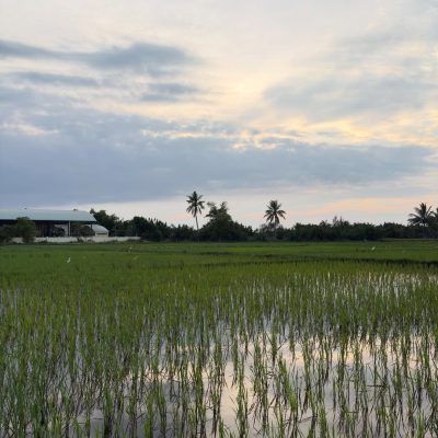 Nam Hoi An в мае — фото погоды (2026-05-01)