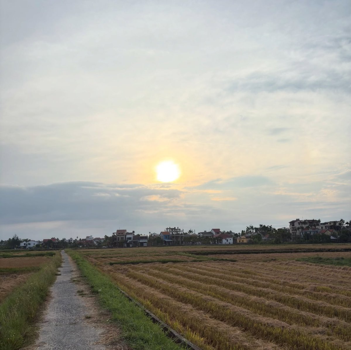 Погода в Nam Hoi An