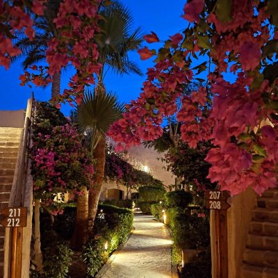 Blue Lagoon Resort — фото погоды в марте (2026-03-23)