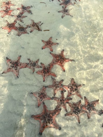 Starfish Beach в мае — фото погоды (2026-05-11)