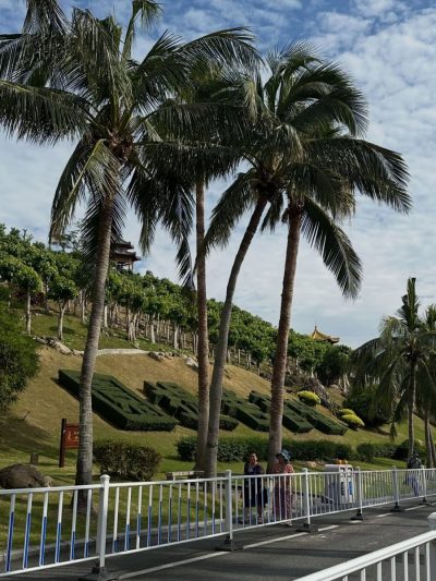 Nanshan Temple, Hainan в январе — фото погоды (2026-01-10)