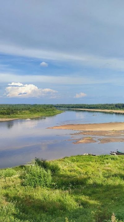 Пинежский район в августе — фото погоды (2025-08-09)