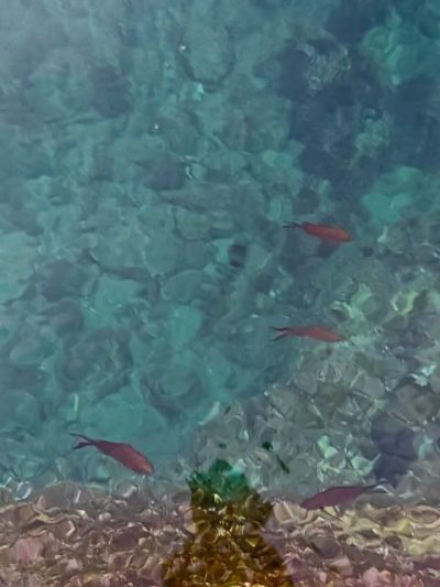 Adriatic Sea в сентябре — фото погоды (2025-09-28)
