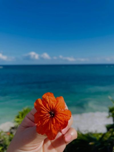 Tulum México Ruinas Mayas в феврале — фото погоды (2026-02-25)