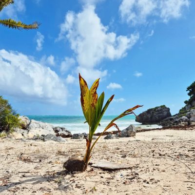 Tulum México Ruinas Mayas в марте — фото погоды (2026-03-05)