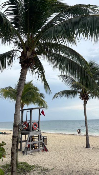 Haven Riviera Cancun в январе — фото погоды (2026-01-08)