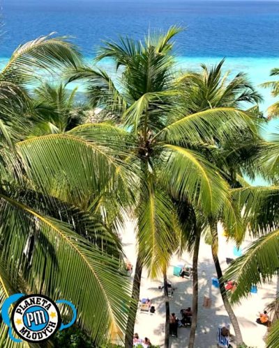 Maafushi island в декабре — фото погоды (2025-12-15)
