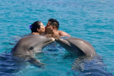 Dolphin Academy Curaçao в марте — фото погоды (2026-03-27)