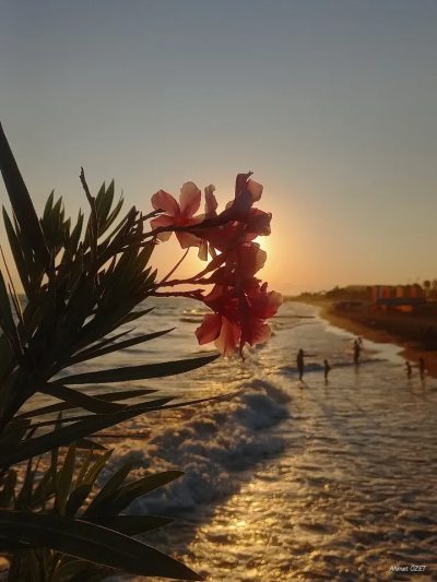 Selectum Luxury Resort — фото погоды в сентябре (2025-09-12)