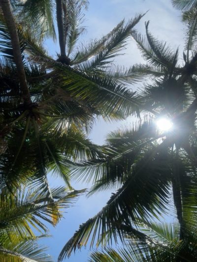 Playa Barra Vieja Acapulco De Juárez в июне — фото погоды (2026-06-26)