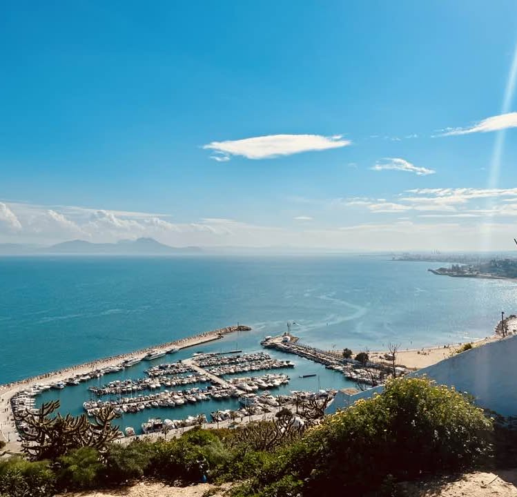 Погода в Sidi Bou Said
